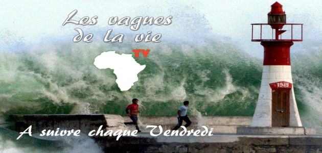 Les vagues de la vie